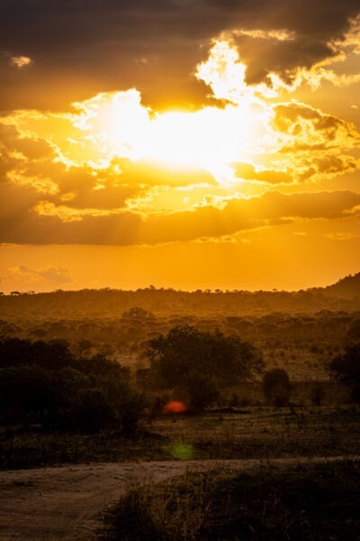 Parco Nazionale del Tarangire